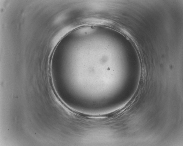 X0000057081487200509091235