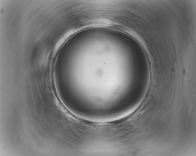 X0000057081488200509091235