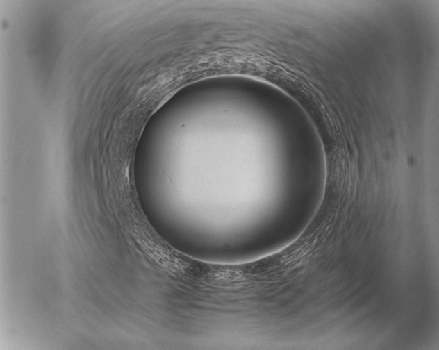 X0000057081489200509091234