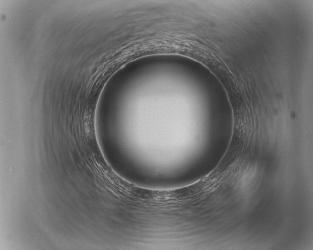 X0000057081490200509091234