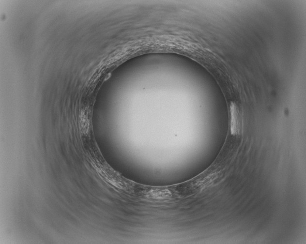 X0000057081491200509091234