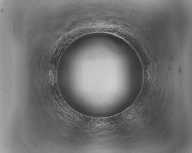 X0000057081493200509091234