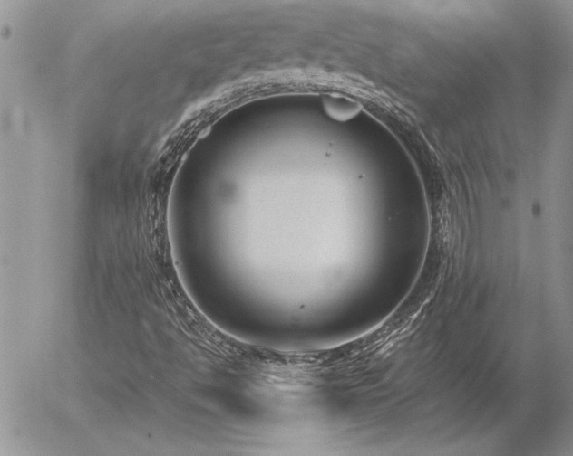 X0000057081494200509091234