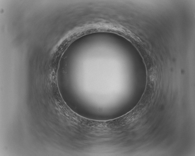 X0000057081495200509091234