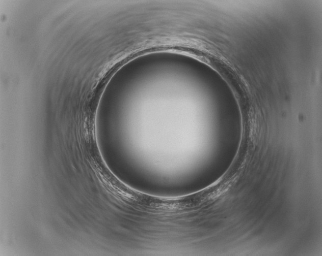 X0000057081497200509091234