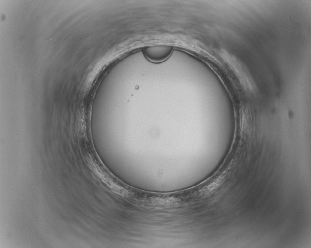 X0000057081498200509091234