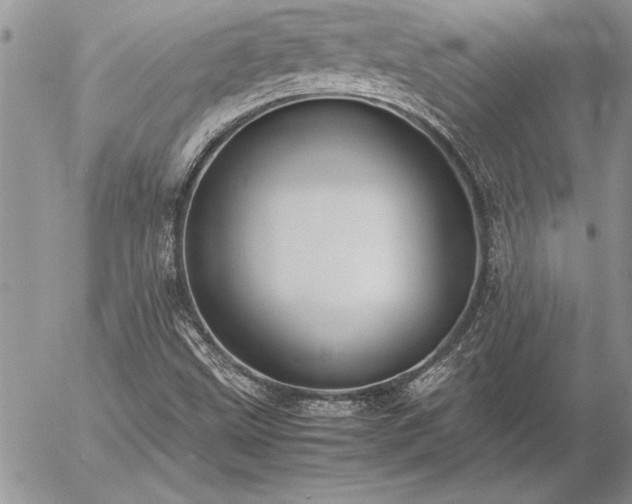 X0000057081499200509091234