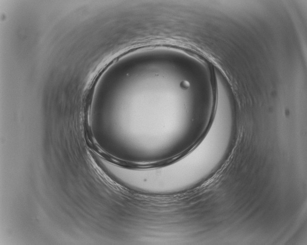 X0000057081500200509091234