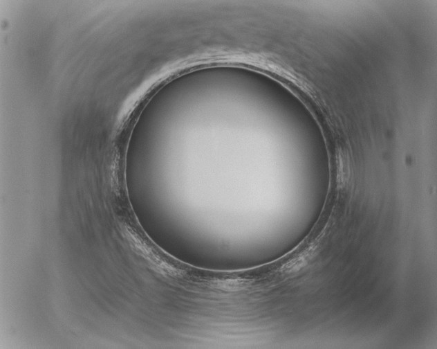 X0000057081502200509091234