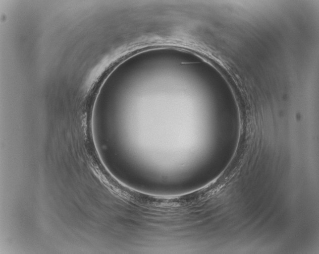 X0000057081503200509091234