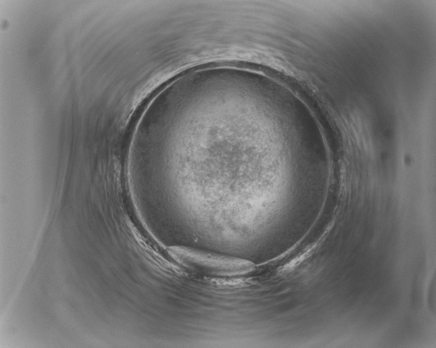 X0000057081505200509091234