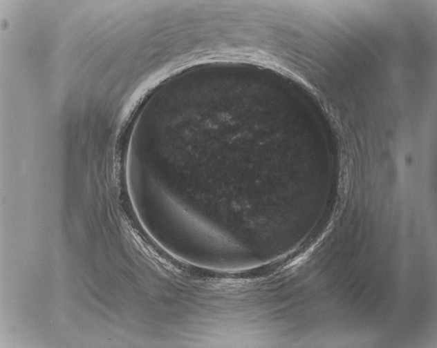 X0000057081506200509091234