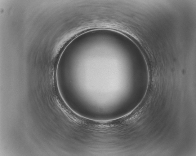 X0000057081507200509091234