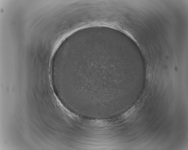 X0000057081508200509091234