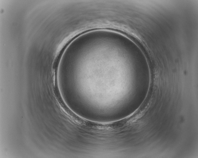 X0000057081509200509091235