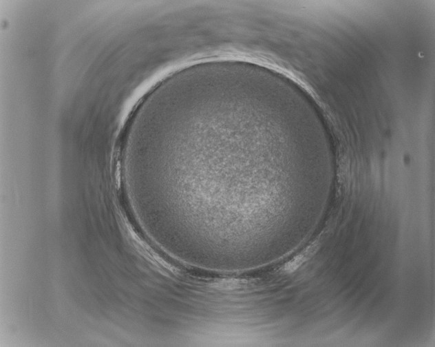 X0000057081510200509091235