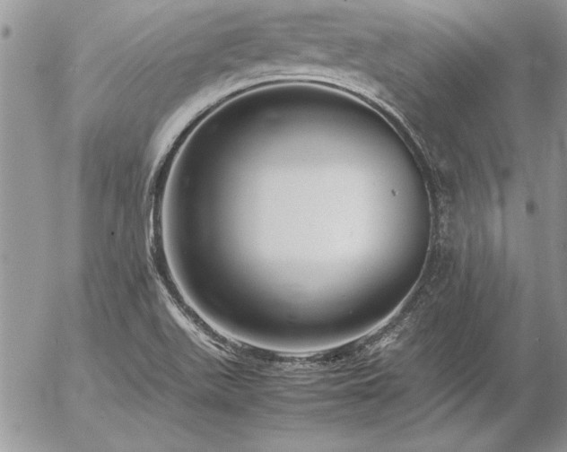 X0000057081511200509091235