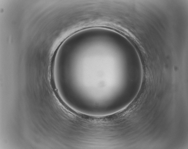 X0000057081512200509091235