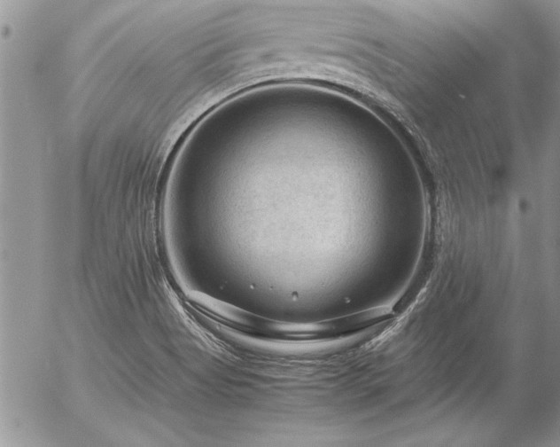 X0000057081513200509091235