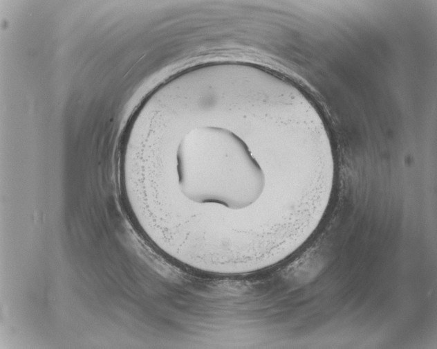 X0000057081514200509091235