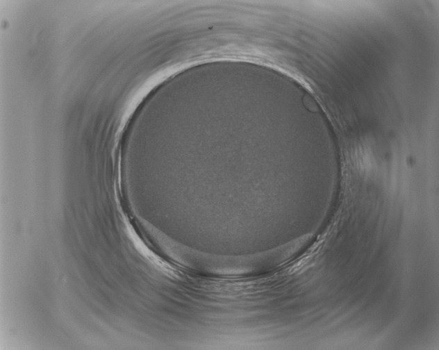 X0000057081515200509091235