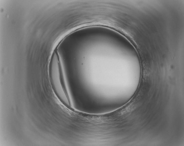 X0000057081516200509091235