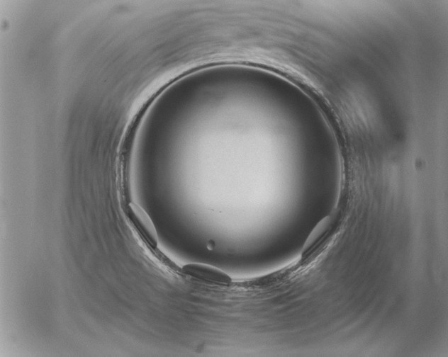 X0000057081517200509091235