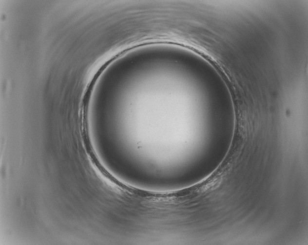 X0000057081519200509091235