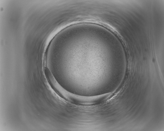 X0000057081520200509091235