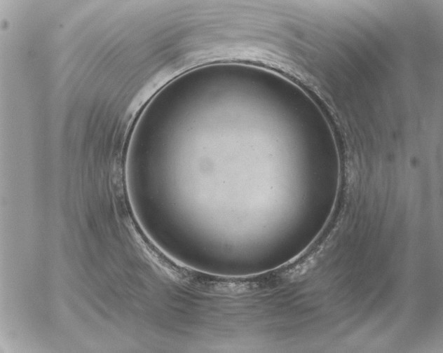 X0000057081521200509091235