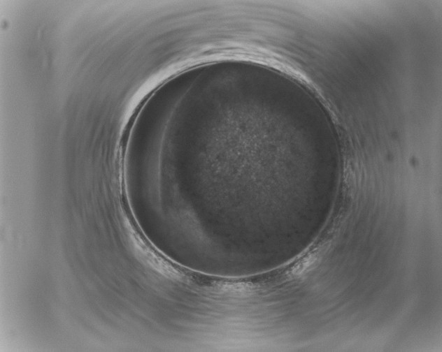 X0000057081522200509091235