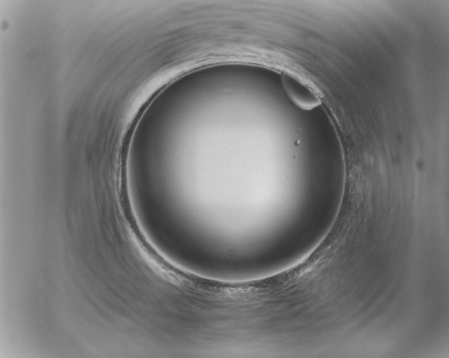 X0000057081523200509091235