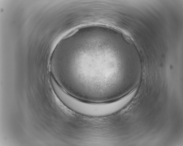 X0000057081524200509091235