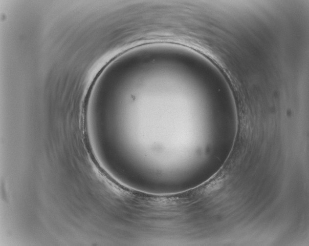 X0000057081527200509091235