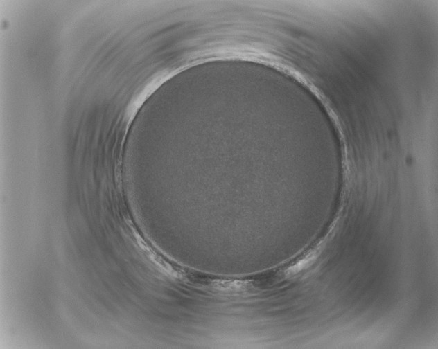 X0000057081529200509091235