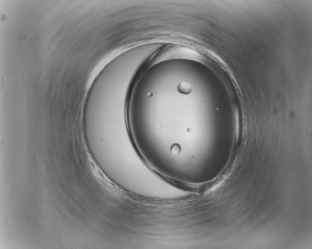 X0000057081530200509091235