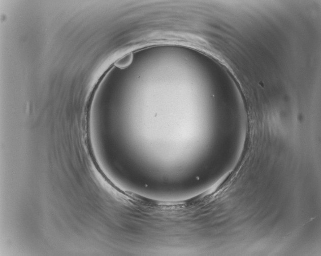 X0000057081531200509091235