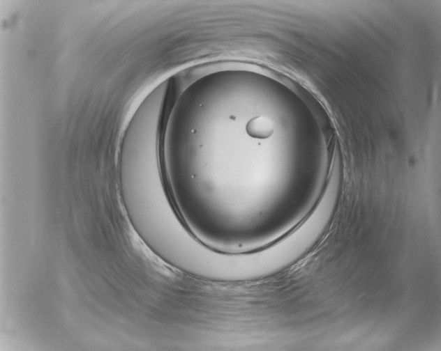 X0000057081532200509091235