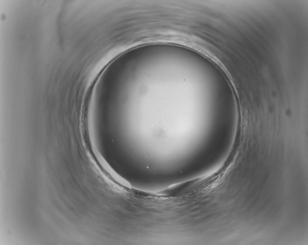 X0000057081533200509091235