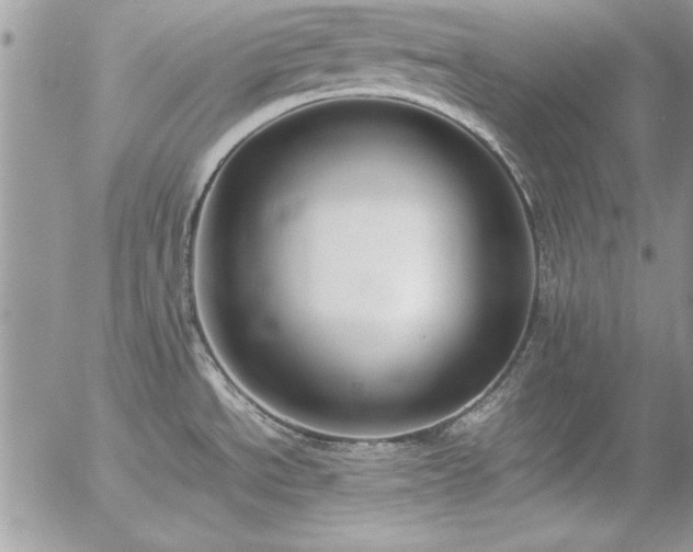 X0000057081534200509091235