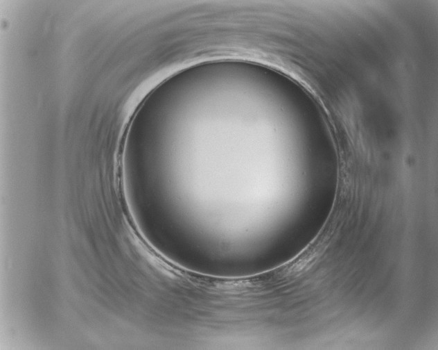 X0000057081535200509091235