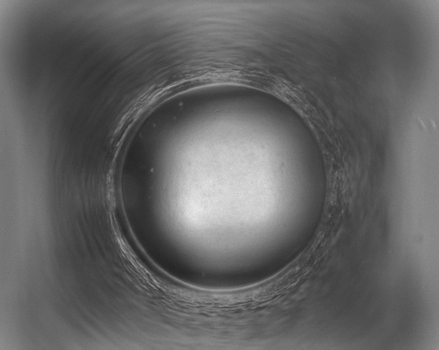 X0000057080002200509120932