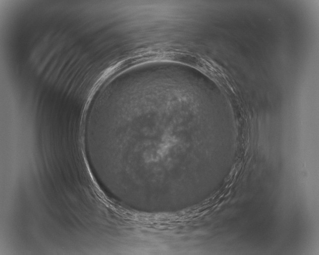 X0000057080003200509120932