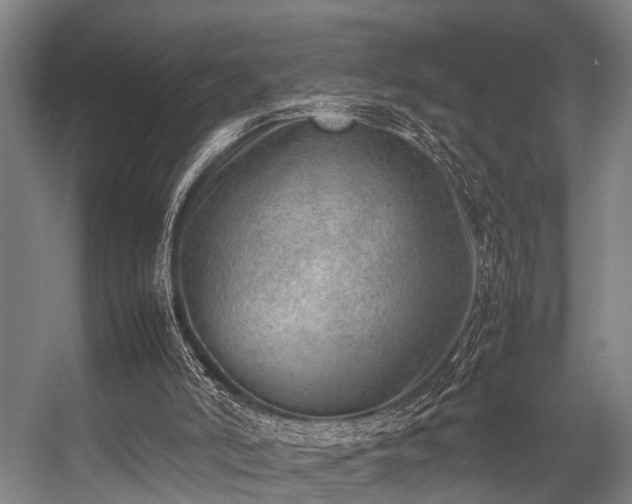 X0000057080006200509120932