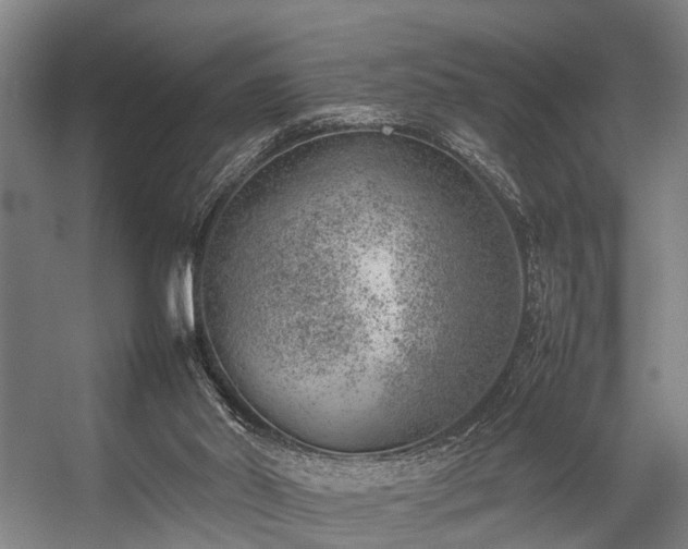 X0000057080014200509120932