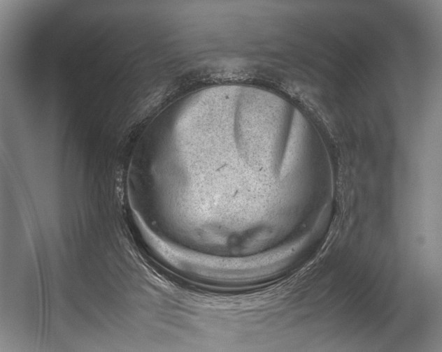 X0000057080017200509120932