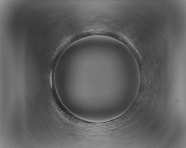 X0000057080019200509120932