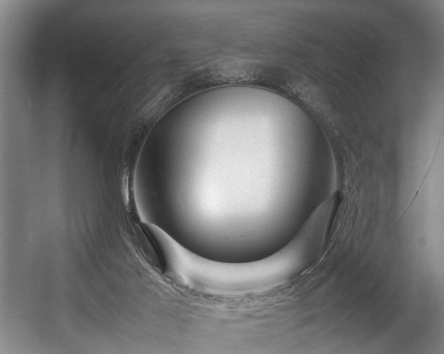 X0000057080021200509120932