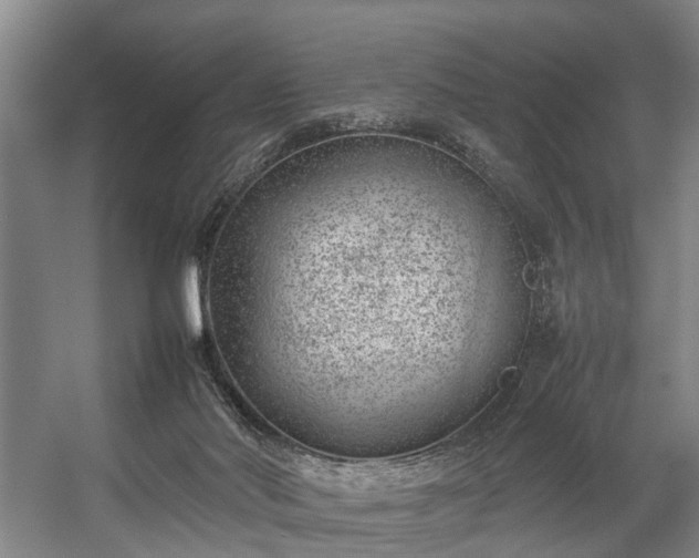 X0000057080022200509120932