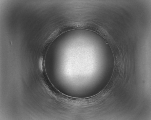 X0000057080024200509120932